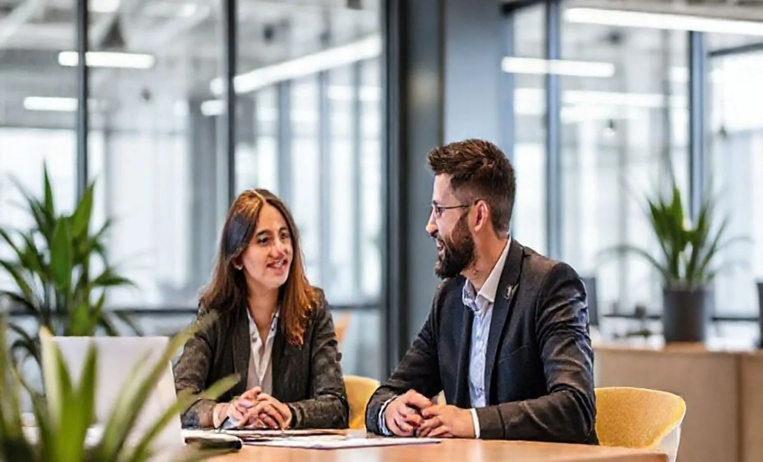 Modern business mentorship office environment